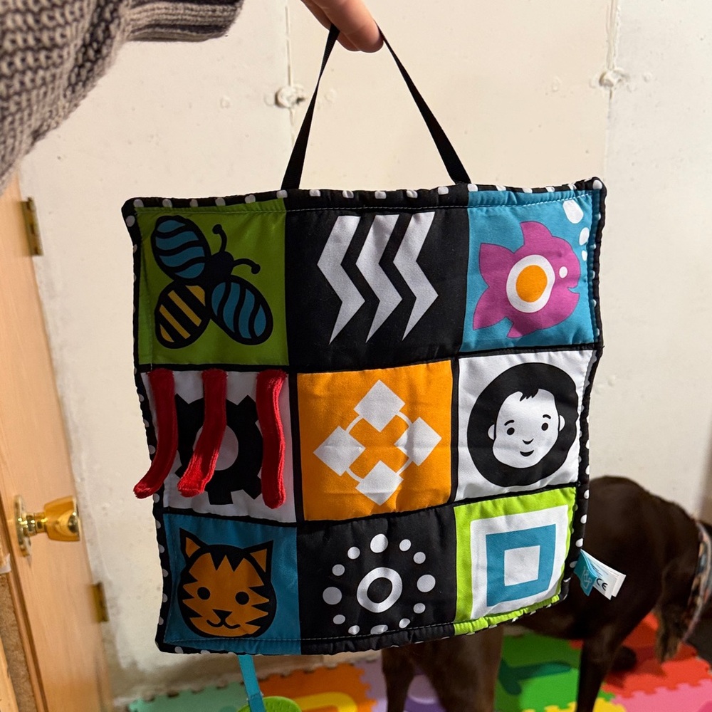 Manhattan Toy Wimmer Ferguson Double Sided Baby Activity